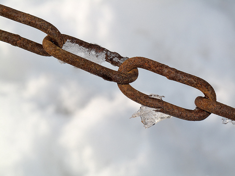 Winter-IMG_5051.jpg   26.04.jpg -                                